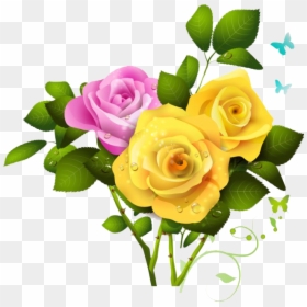 Pink Rose And Yellow Rose, HD Png Download - png flowers