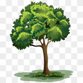 Transparent Tall Tree Clipart, HD Png Download - bushes png