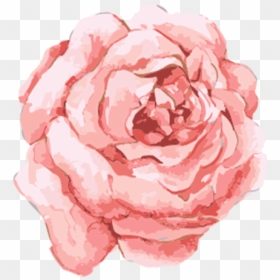 Pink Watercolor Flowers Png, Transparent Png - png flowers