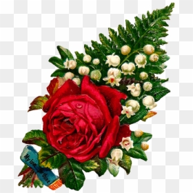 Single Red Rose Flower Love Png, Transparent Png - red rose png