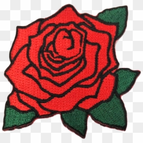 Png Rose, Transparent Png - red rose png