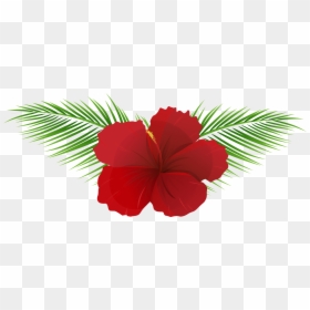 Transparent Clipart Hawaiian Flower, HD Png Download - png flowers