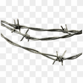 Transparent Background Barbed Wire Png, Png Download - barbed wire png