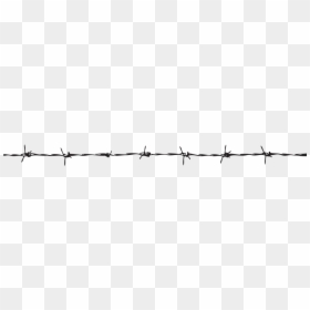 Barbed Wire, HD Png Download - barbed wire png