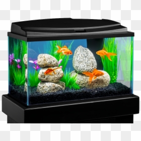 Aquarium, HD Png Download - tank png