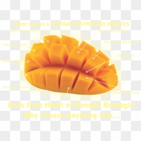 Tropical Mango Salt Nic, HD Png Download - mango png