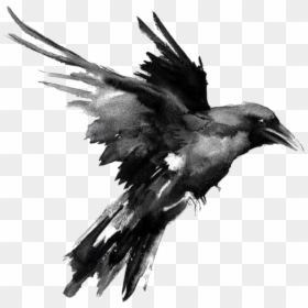 Flying Raven, HD Png Download - raven png
