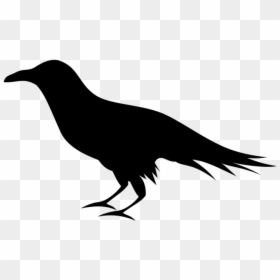 Raven Edgar Allan Poe Png, Transparent Png - raven png