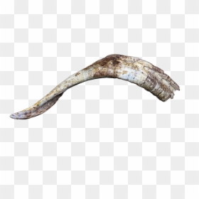 Fish, HD Png Download - goat png