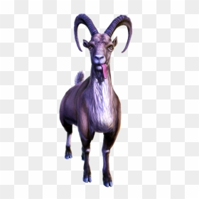 Enforcer Goat, HD Png Download - goat png