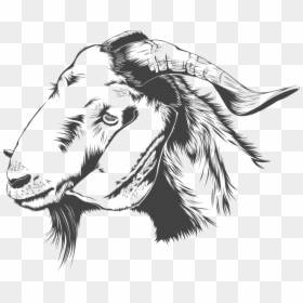 Boer Goat Head Png, Transparent Png - goat png