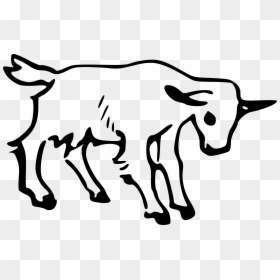 G For Goat Worksheet, HD Png Download - goat png
