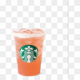 Guava White Tea Starbucks, HD Png Download - starbucks png