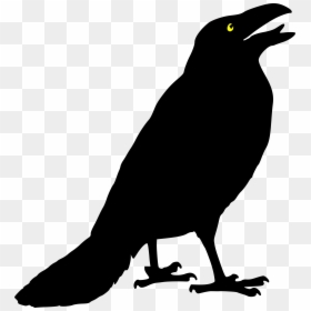 Crow Clipart Black And White, HD Png Download - raven png