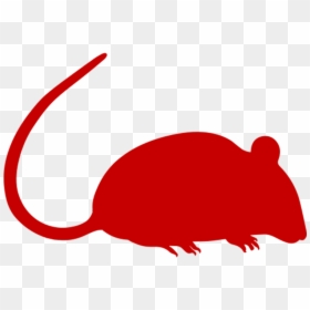 Mouse Clip Art, HD Png Download - rat png