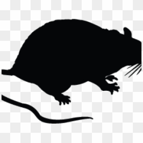 Rat Cartoon Black, HD Png Download - rat png