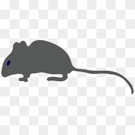 Halloween Clip Art, HD Png Download - rat png