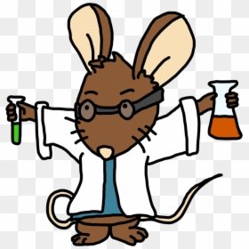Rat Scientist, HD Png Download - rat png