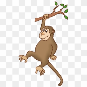Monkey On Tree Png, Transparent Png - funny png