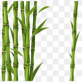 Bamboo Png, Transparent Png - bamboo png