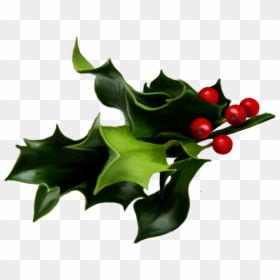 Christmas Mistletoe, HD Png Download - holly png