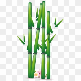 Bamboo Vector Transparent Png, Png Download - bamboo png