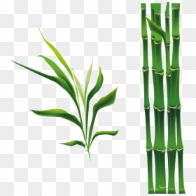 Cây Tre Hoạt Hình, HD Png Download - bamboo png