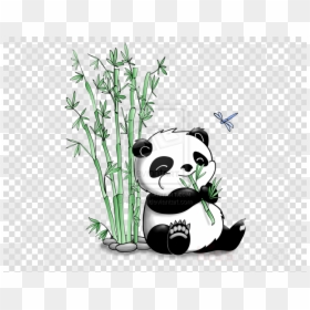Panda And Bamboo Drawing, HD Png Download - bamboo png