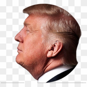 Donald Trump De Profil, HD Png Download - donald trump face png