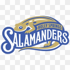 Holly Springs Salamanders - Holly Spring Salamanders Logo, HD Png Download - holly png