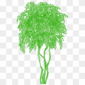 Trippy Tree Png, Transparent Png - bamboo png
