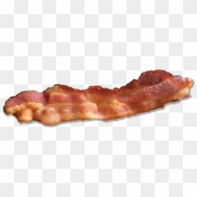 Single Strip Of Bacon, HD Png Download - bacon png