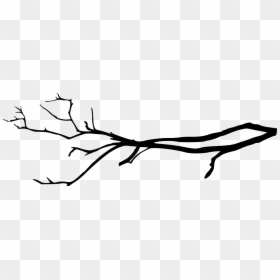 Tree Branch Transparent Png, Png Download - branch png