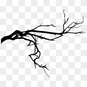 Black Spooky Tree Png, Transparent Png - branch png
