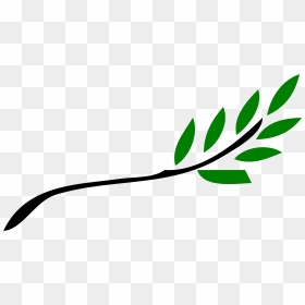 Olive Branch Petition, HD Png Download - branch png