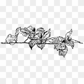 Silhouette, HD Png Download - branch png