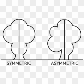 Asymmetrical Shape, HD Png Download - game theory png