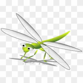 Green, Shadow, Dragonfly, Wings, Insect - Capung Kartun, HD Png Download - dragonfly wings png