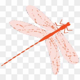 Transparent Dragonfly Png - Dragonfly, Png Download - dragonfly wings png