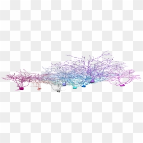 2i, Neurons, Neuroscience, Eyewire - Drawing, HD Png Download - neurons png