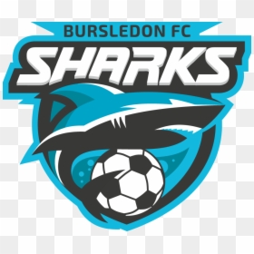 Transparent Sharks Logo Png - Frankston Sharks Bmx Club, Png Download - sharks logo png