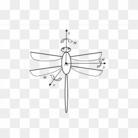 Technical Drawing, HD Png Download - dragonfly wings png