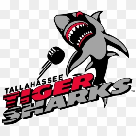 Tallahassee Tiger Sharks Logo, HD Png Download - sharks logo png