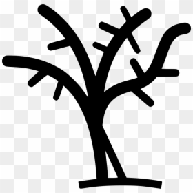 Tree With No Leaves - Tree No Leaves Png File, Transparent Png - tree no leaves png