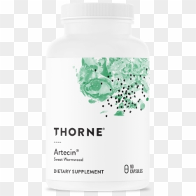 Thorne Berbercap, HD Png Download - intestines png