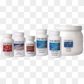 Leaky Gut Best Supplements, HD Png Download - intestines png
