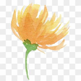 Transparent Fire Flower Png - Yellow Watercolor Flowers Png, Png Download - yellow watercolor png