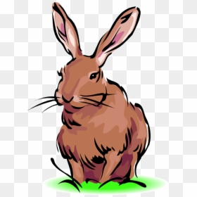 Free Rabbit Clipart - Hare Clipart, HD Png Download - bunny clipart png