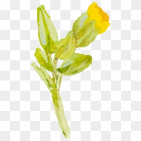 Yellow Cartoon Small Flower Watercolor Transparent - Flowers Watercolour No Background Yellow, HD Png Download - yellow watercolor png
