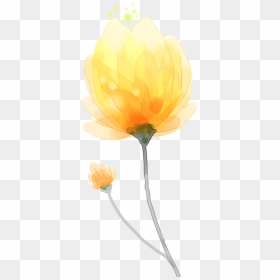 Transparent Yellow Watercolor Png - Illustration, Png Download - yellow watercolor png